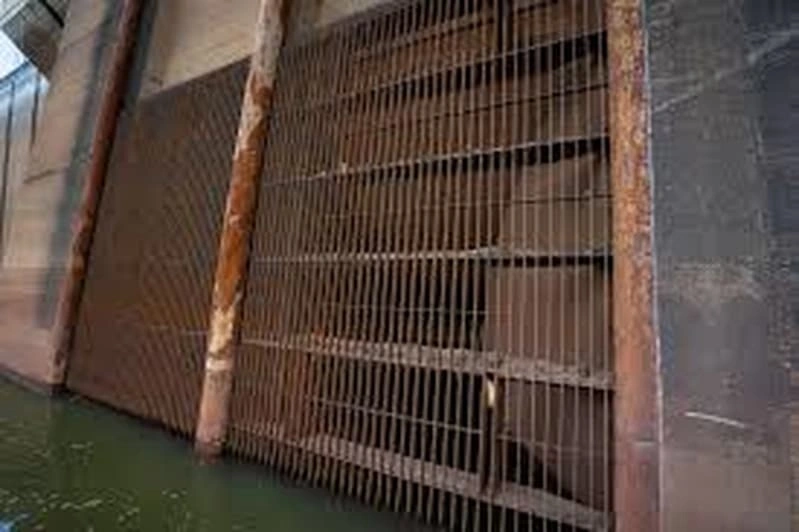 Comporta Eta Guilhotina Comporta Eta Guilhotina